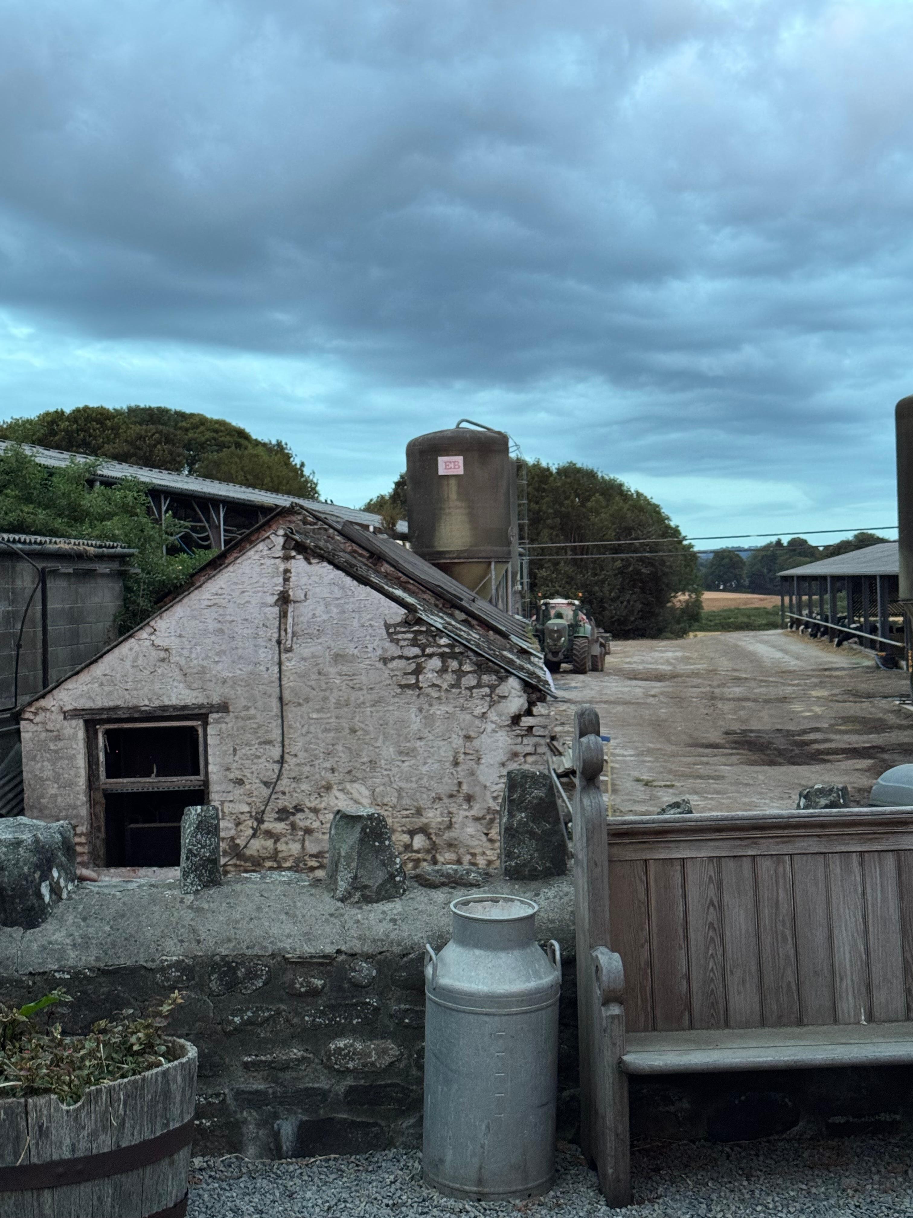 The lovely working dairy farm view