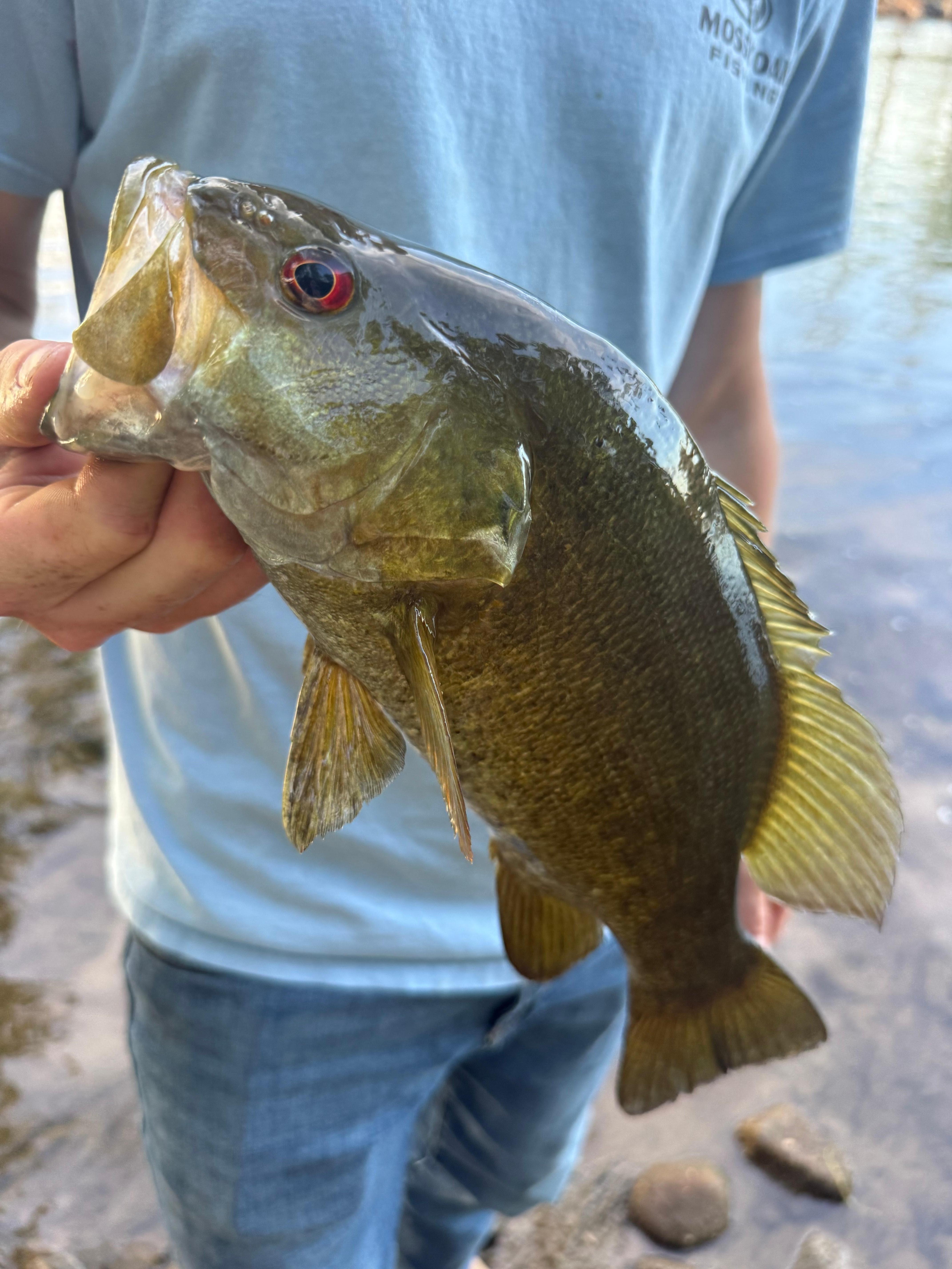 caught right at the bottom of the dock!