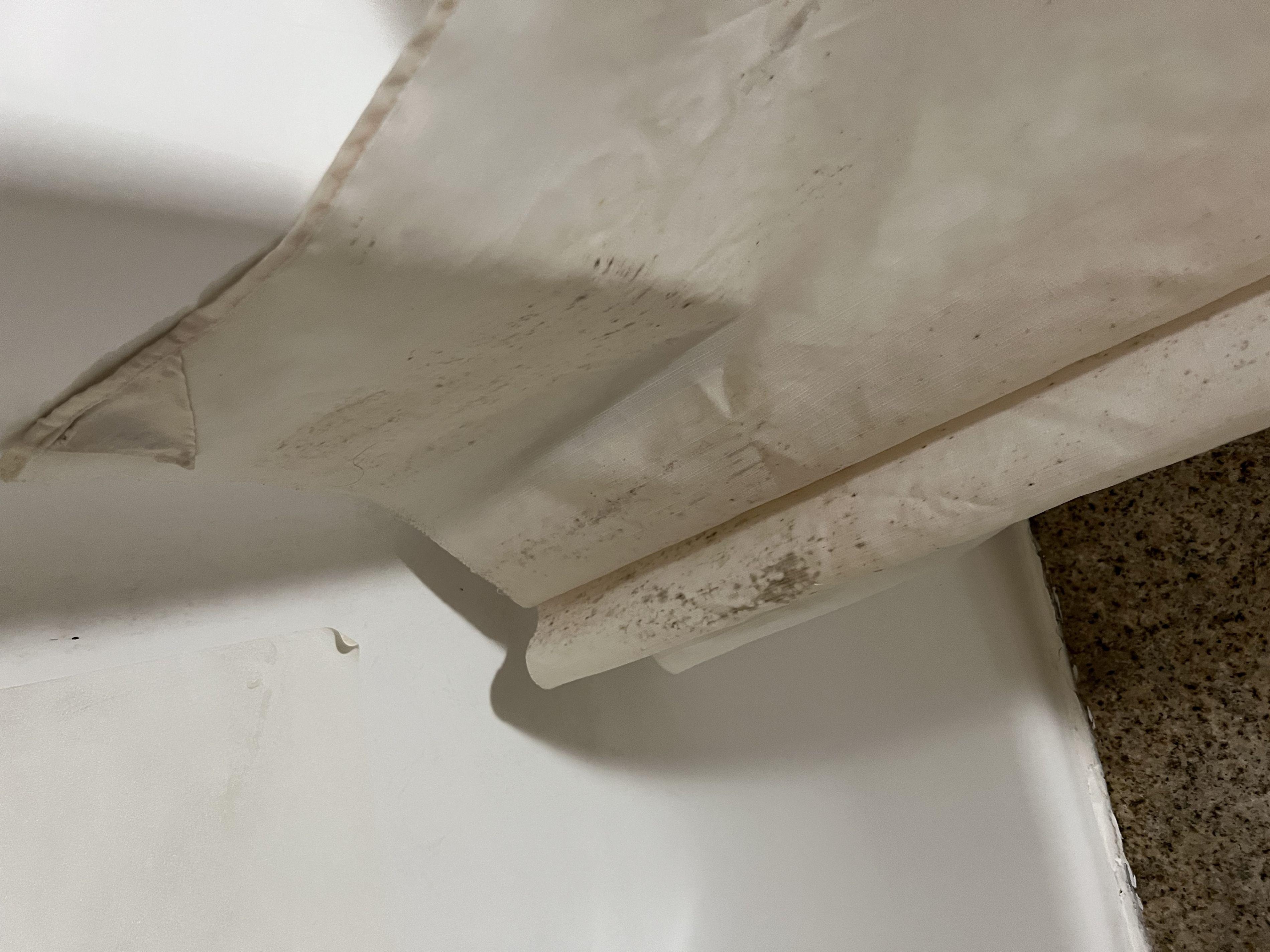 Dirty shower curtain