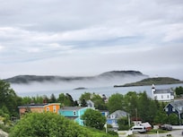 Foggy morning