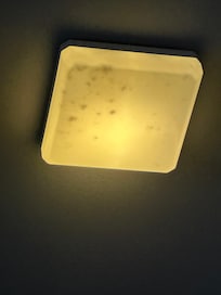 Dead flies in light fitting directly above bed.