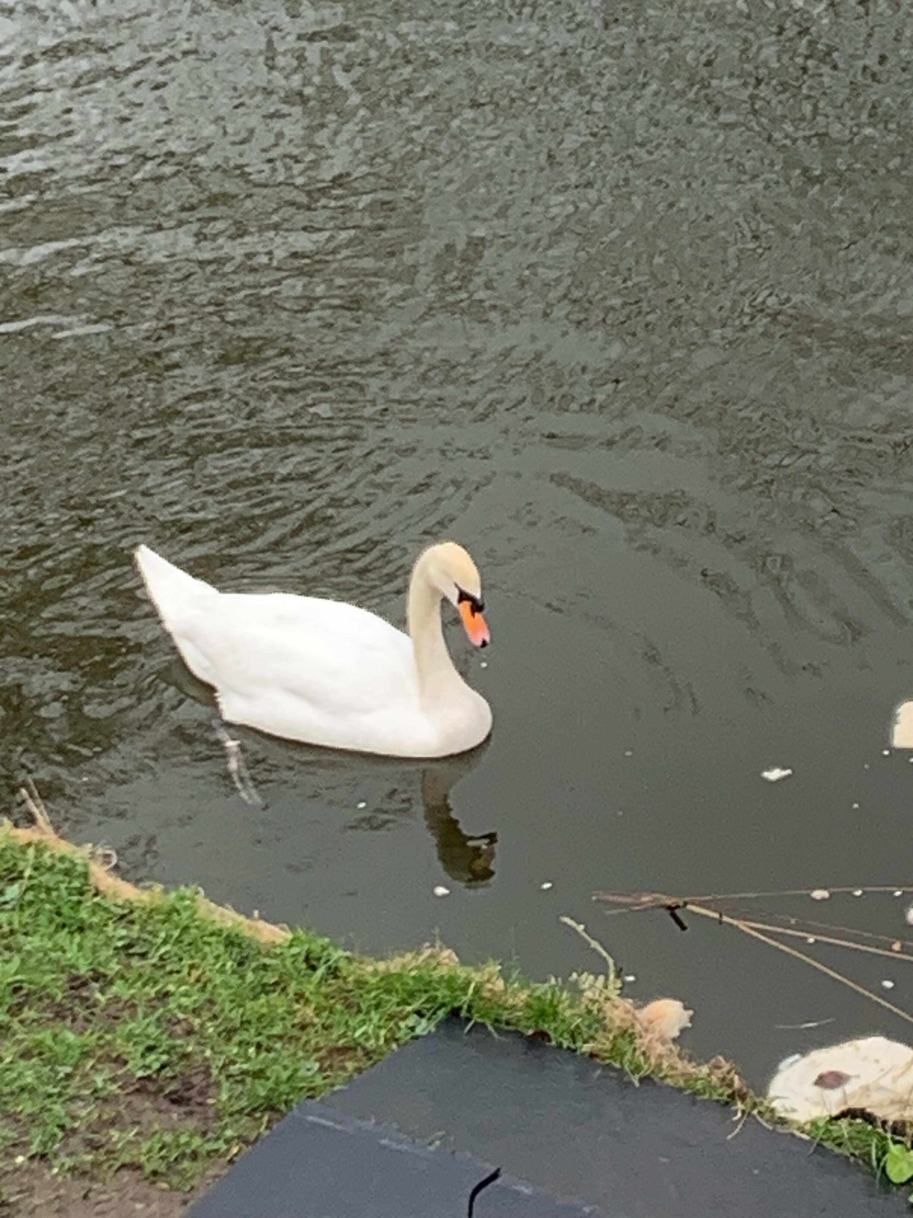 View from Juliette balcony.