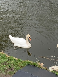 View from Juliette balcony.
