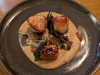 Seared scallops as starter