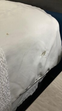 Torn, like burned bed sheet