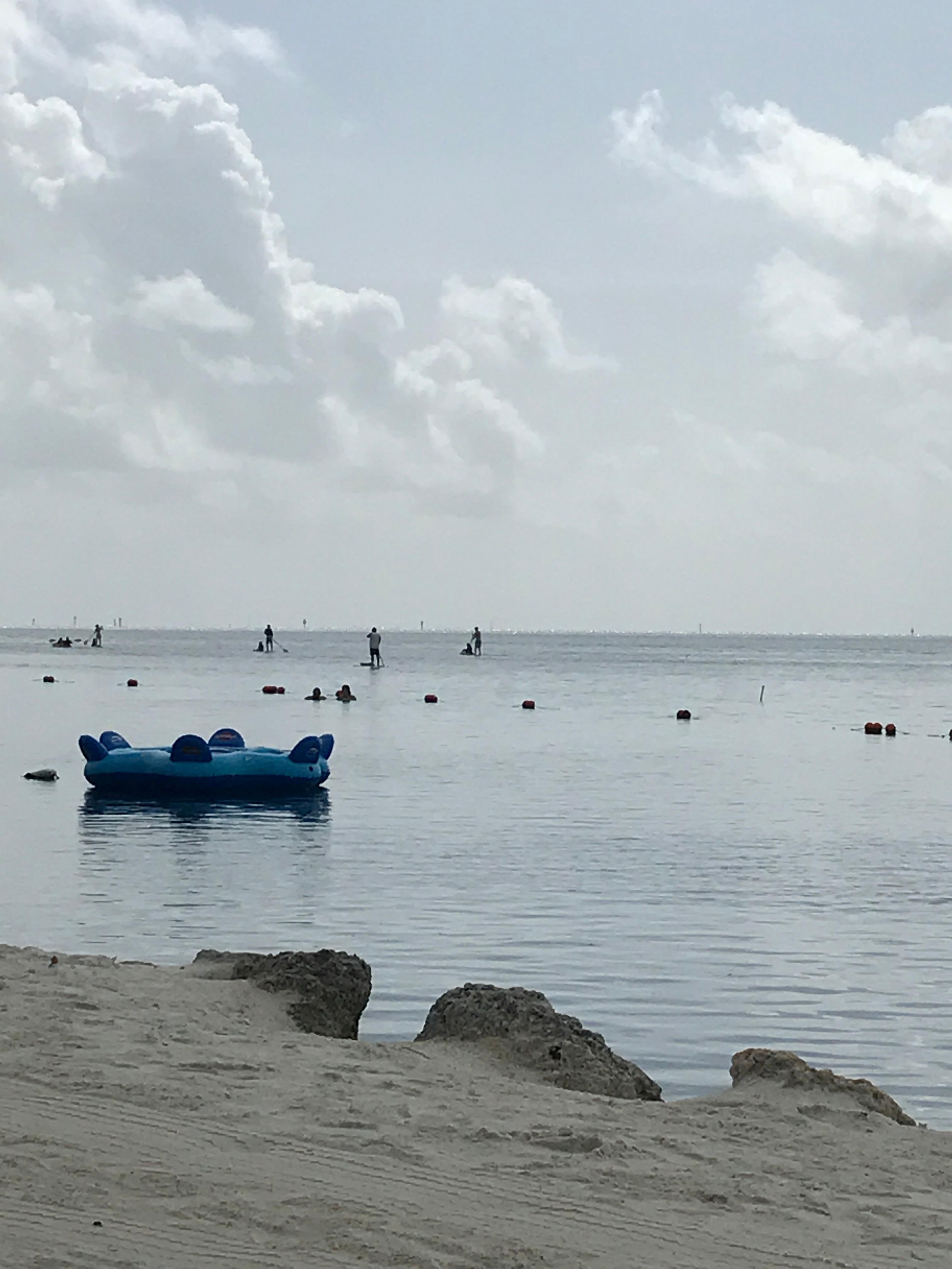 Swim toys