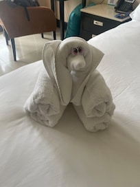 A special treat from the cleaning staff