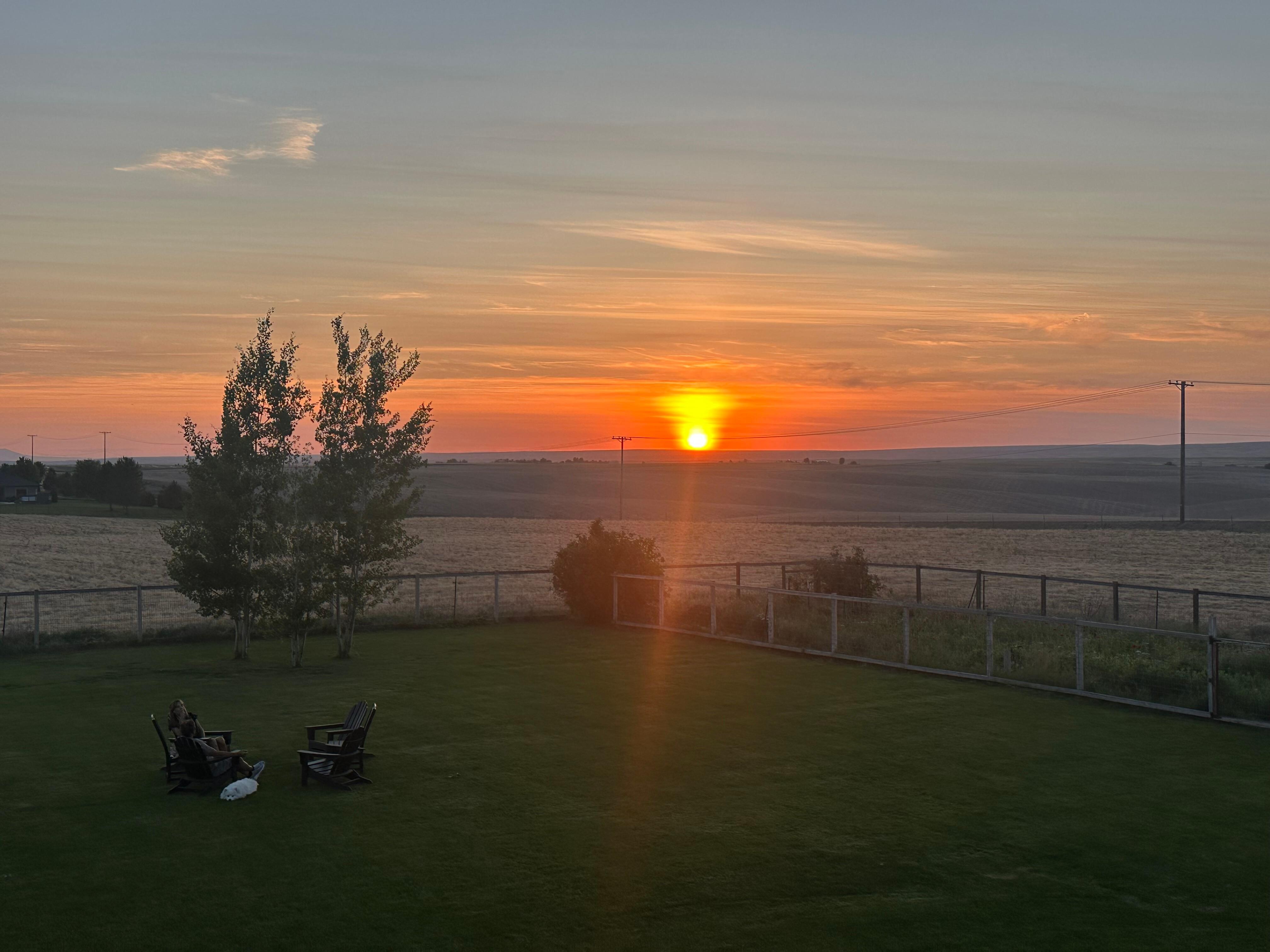 Sunset from the backyard view. 