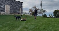 The Dairy Barn - yard