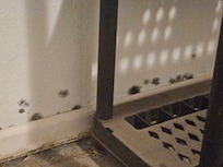 Mold near the snacks for purchase shelves.