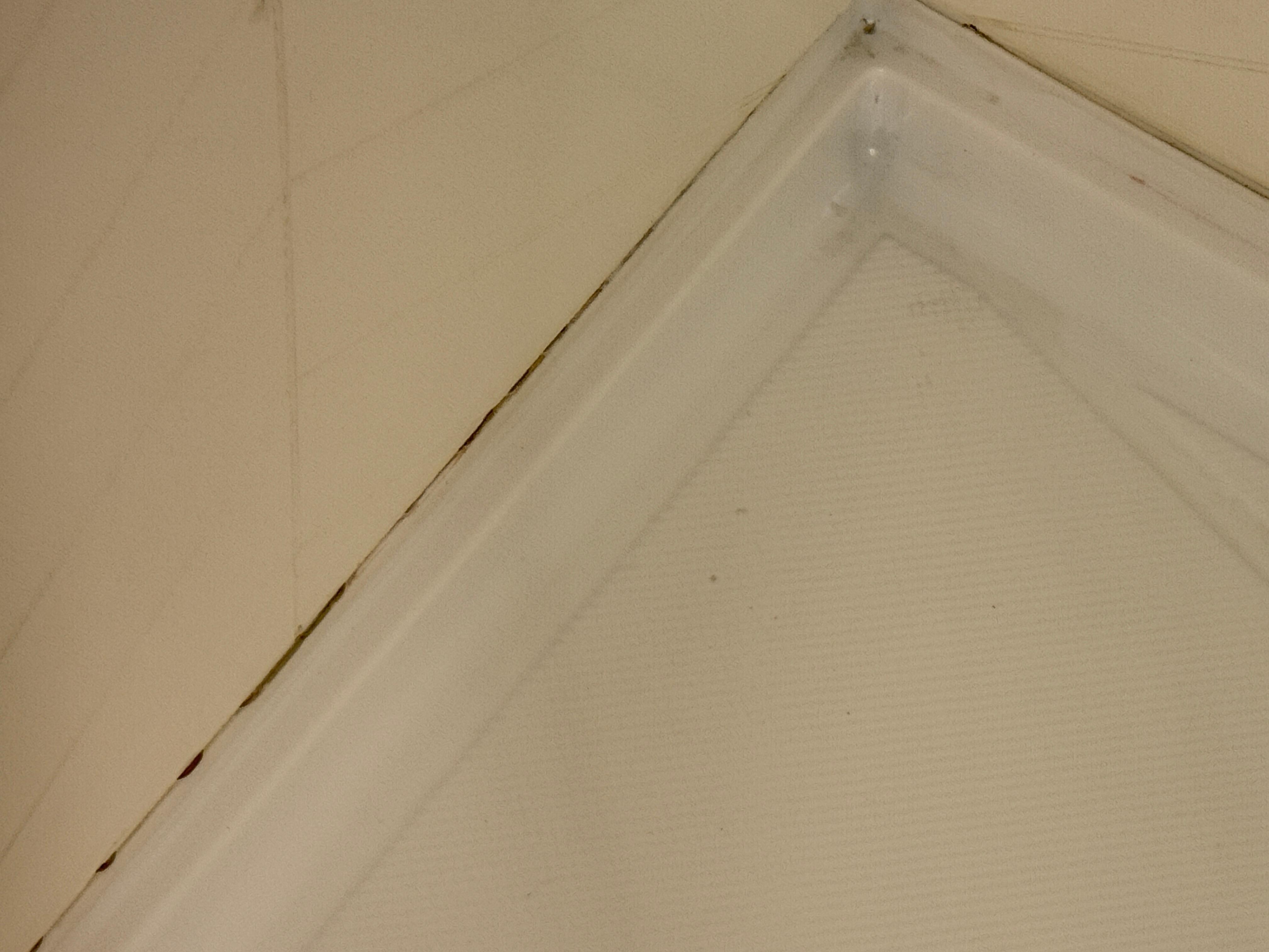 Bathroom shower floor