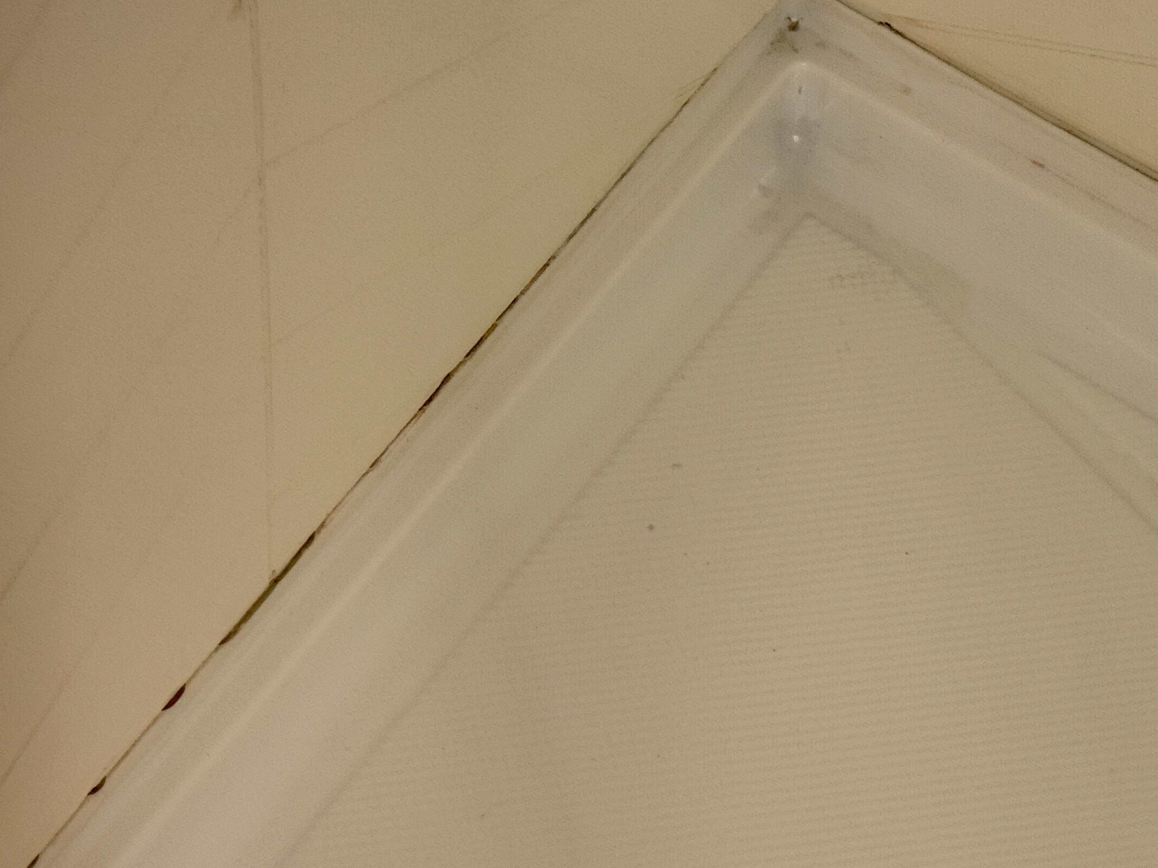 Bathroom shower floor