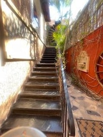 Easy stairs up to the second floor, wrapped in beautiful foliage. A peaceful little climb that adds to the charm of this boutique hotel.