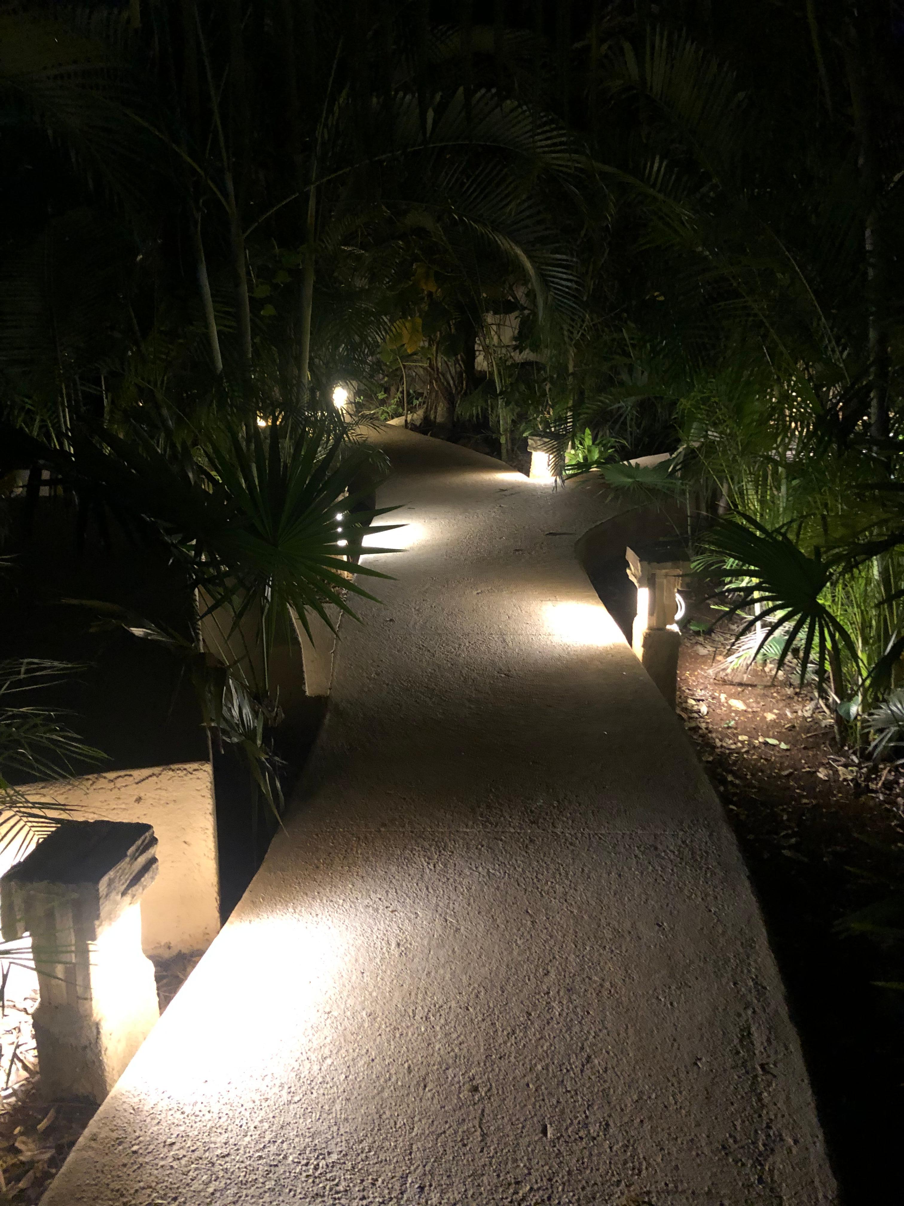 Path at night