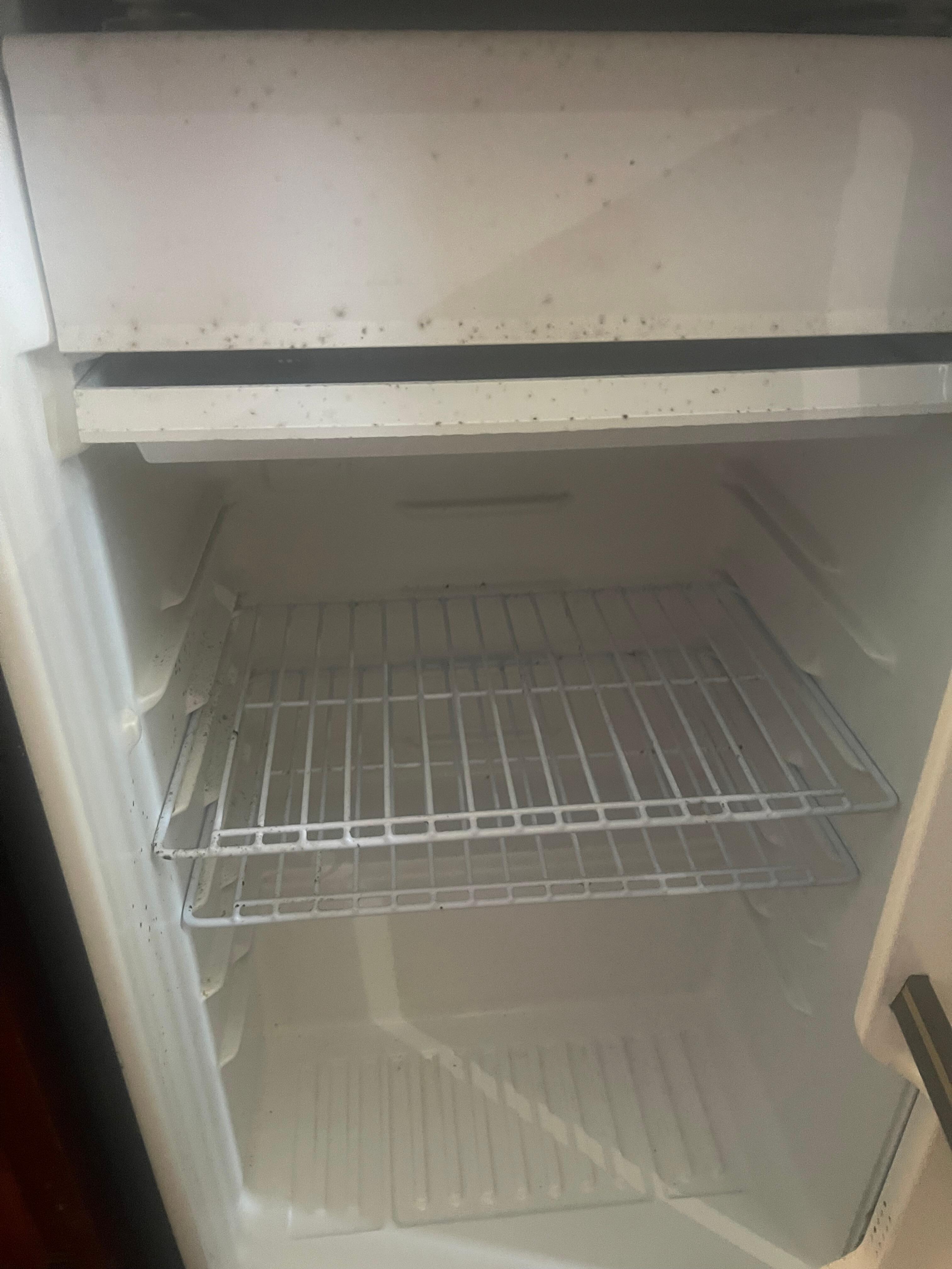 The refrigerator was full of mold. Mold like that takes time to grow. Why unplug a refrigerator ever in a hotel.