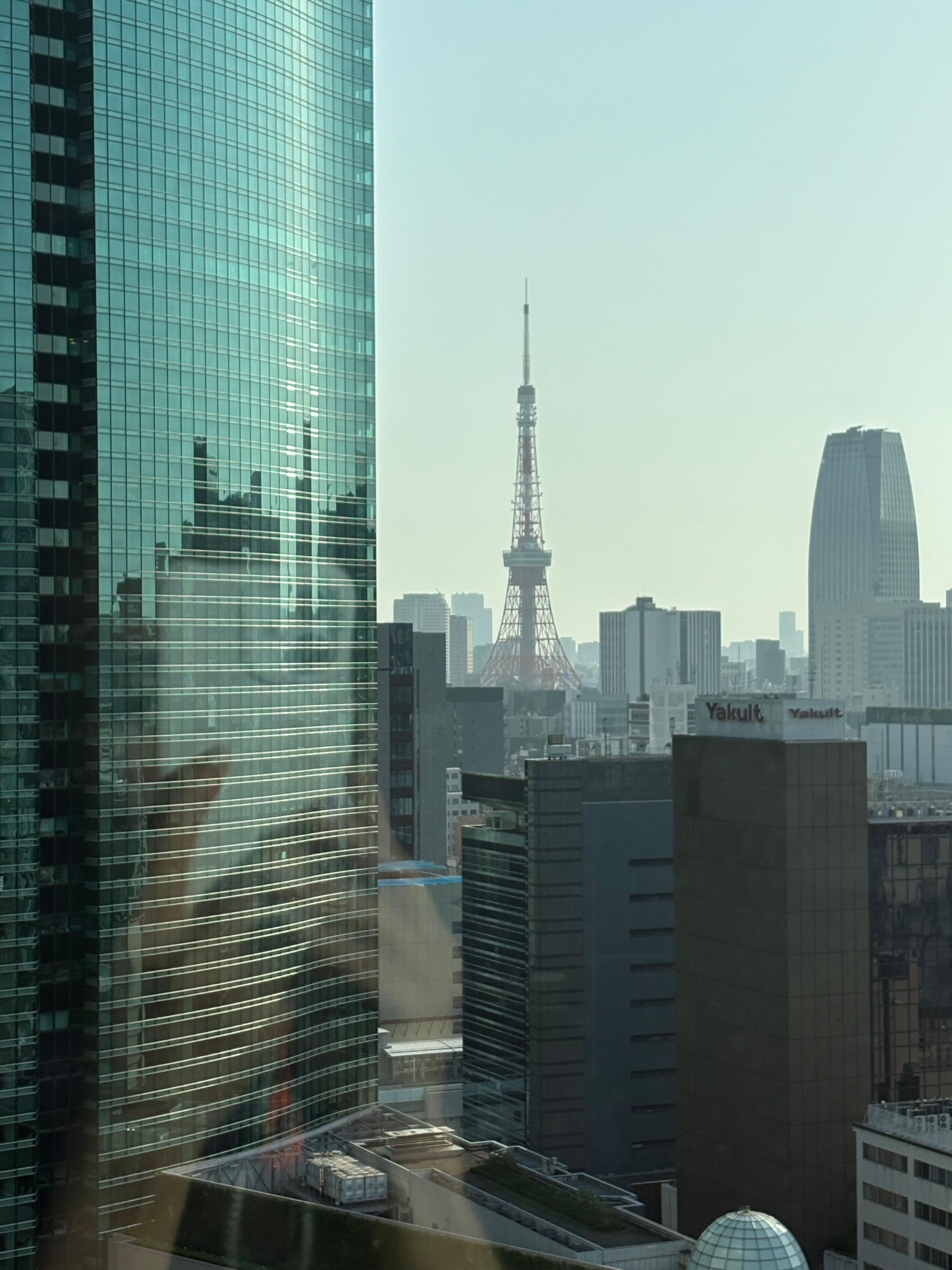 ロビーから東京タワーが見えました✨