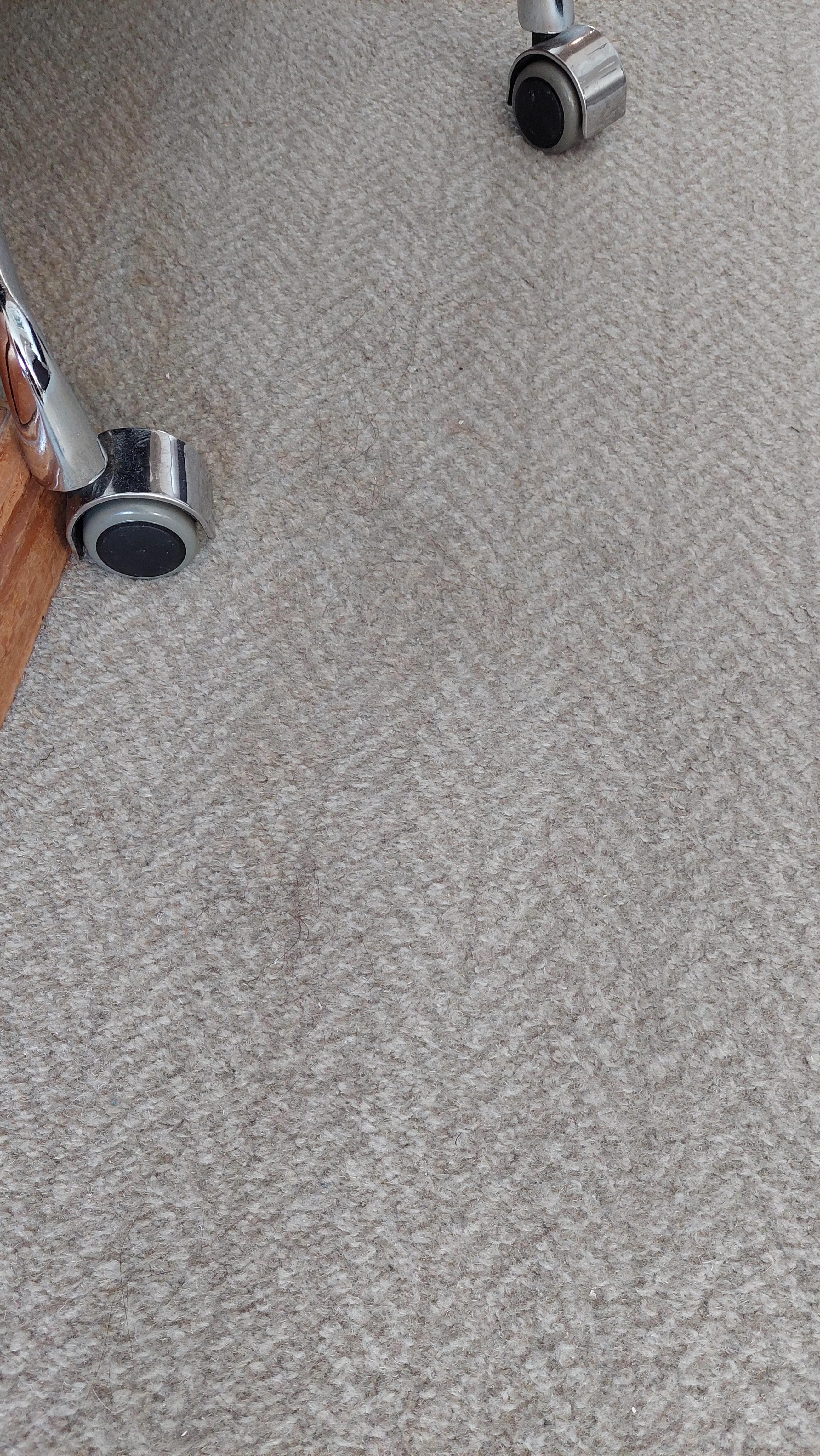 Teppich im Zimmer!