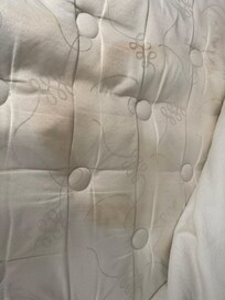 Bed smelled of piss and was so stained bed had springs you could feel