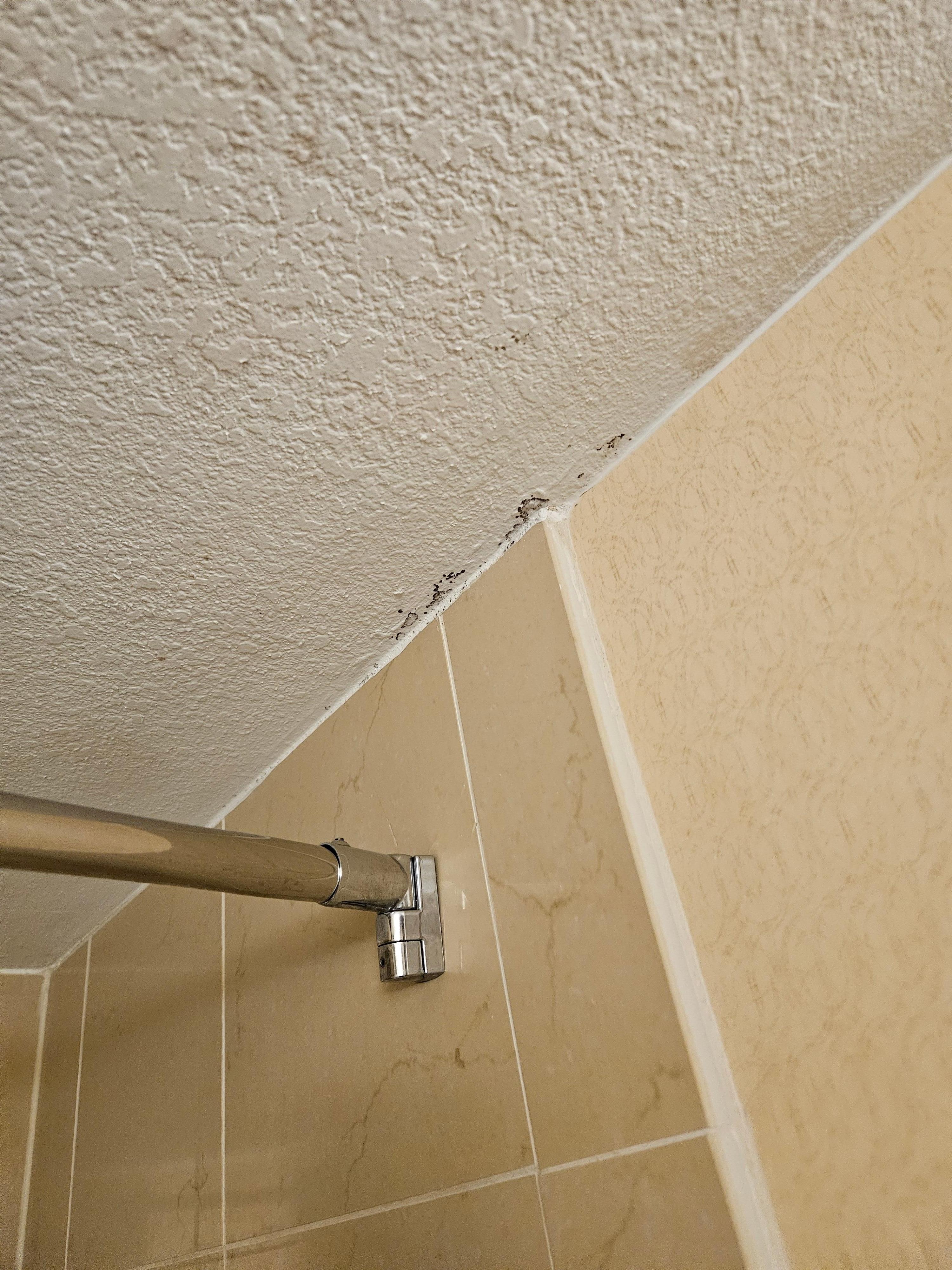 Mold in bathroom 