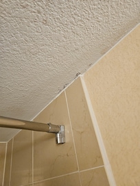 Mold in bathroom