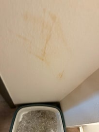 why was their blood on the bathroom wall!?