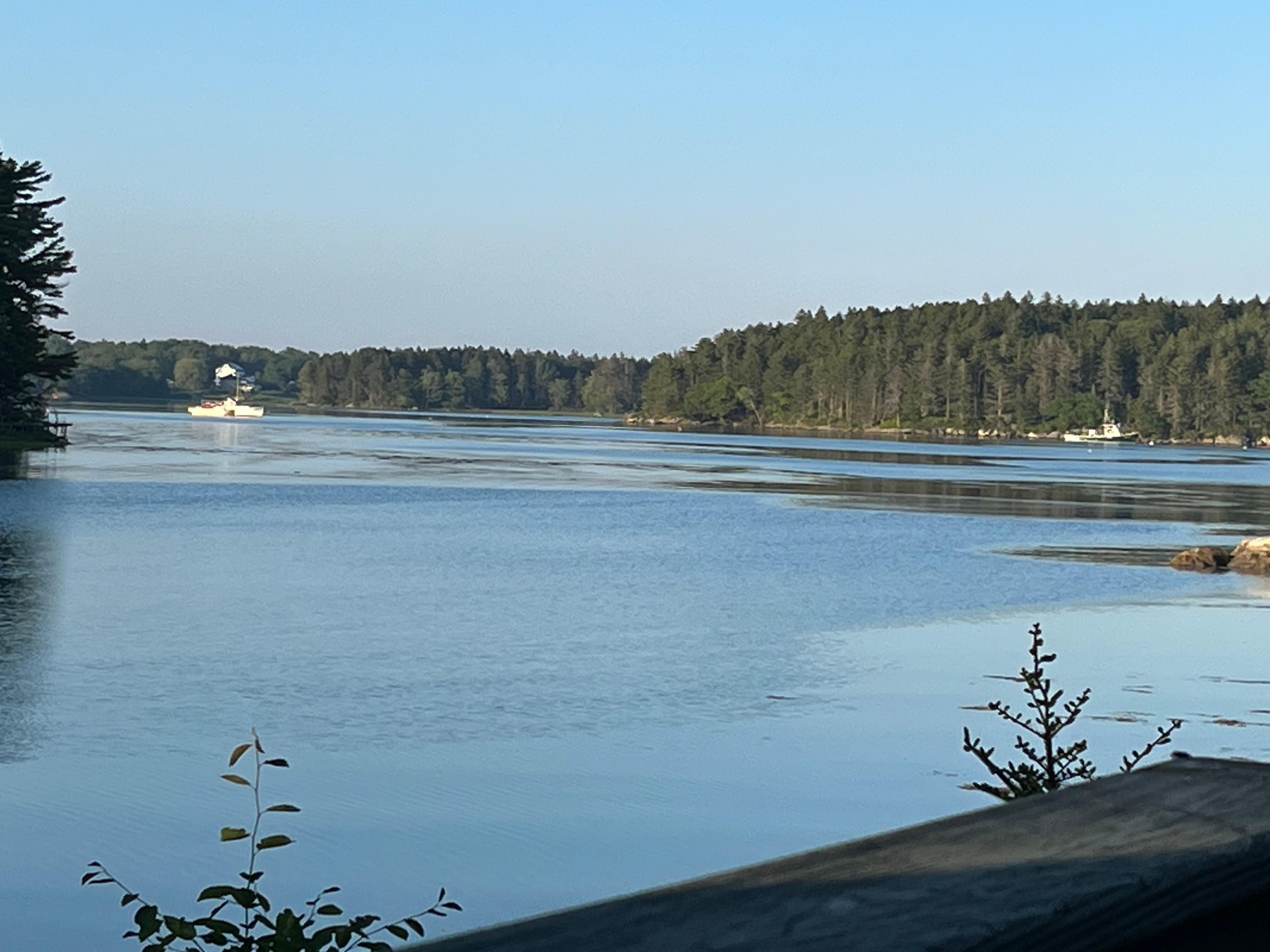 View from the deck. 