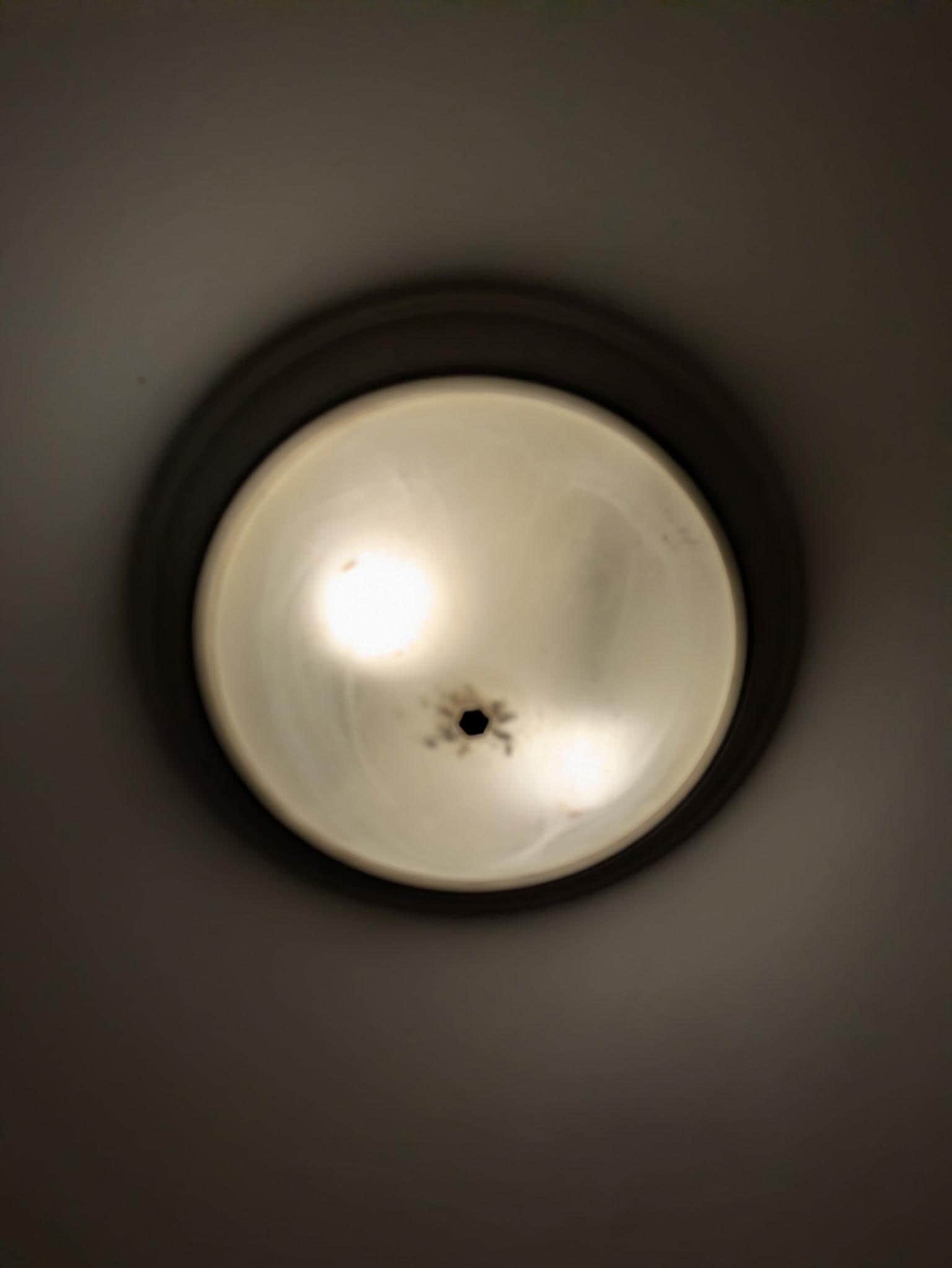Bugs in the light fixture 