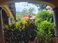 Privacy hedge, looking toward the courtyard