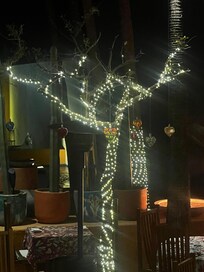 Restaurant area at night.