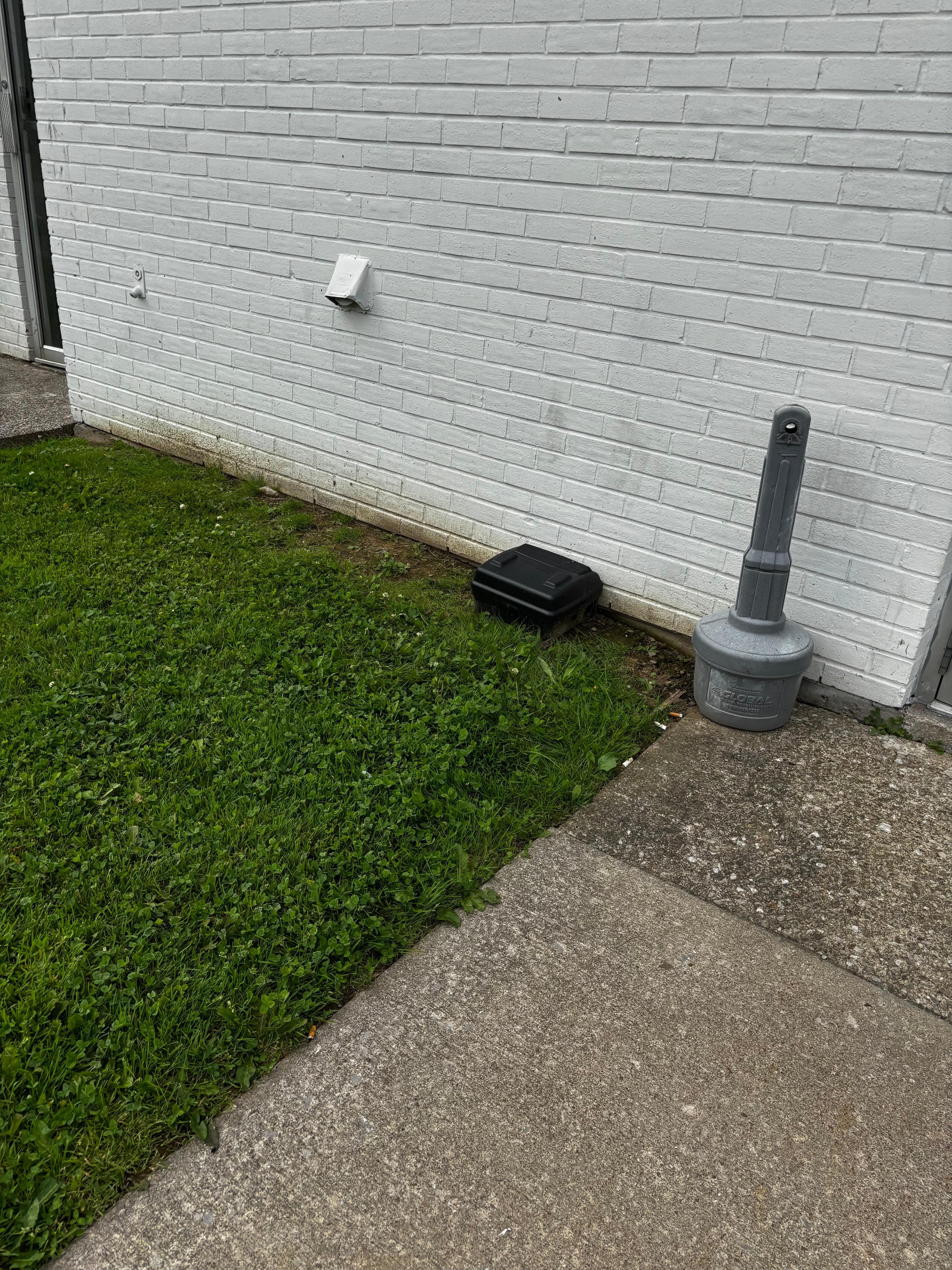 Rat traps 