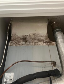 Suspect mold in HVAC