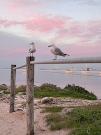 Palm Beach, Rockingham