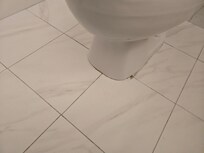 Toilet moves