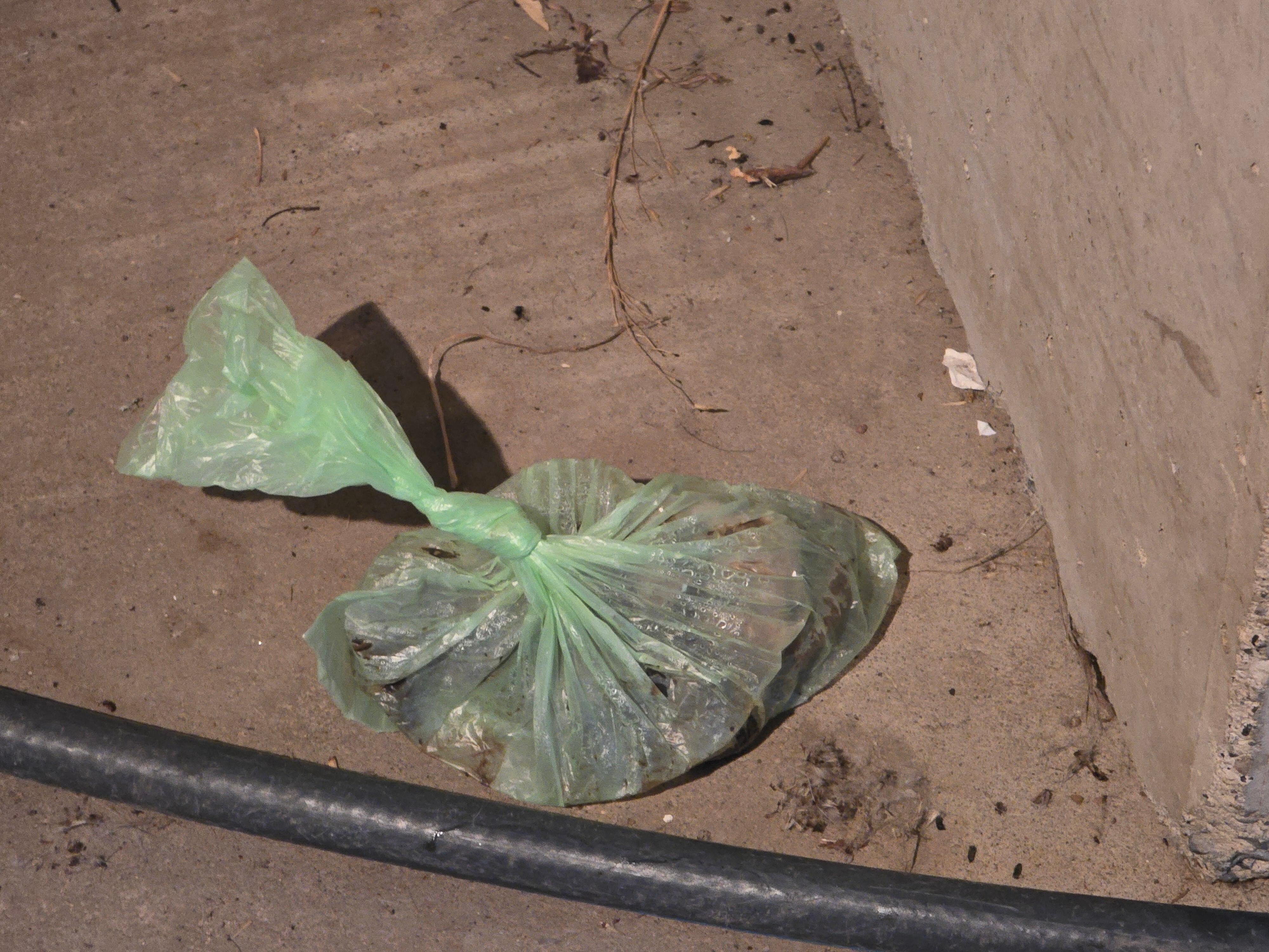 Dog poop in garage.