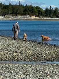 Lamoine Beach