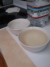 Brown water, same color as counter. Compared to the gallon of clean water they left us
