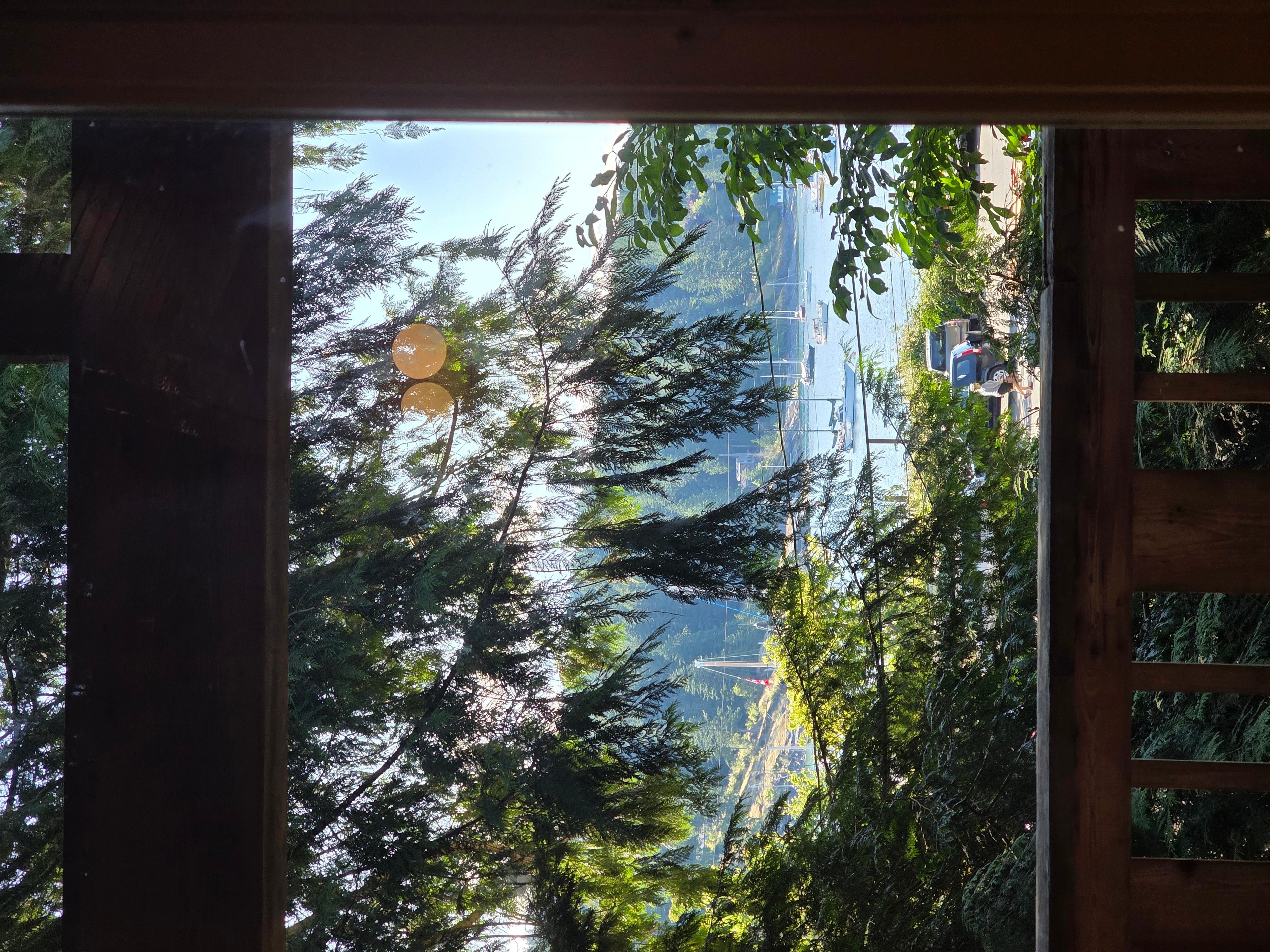 View from the kitchen table in cabin.