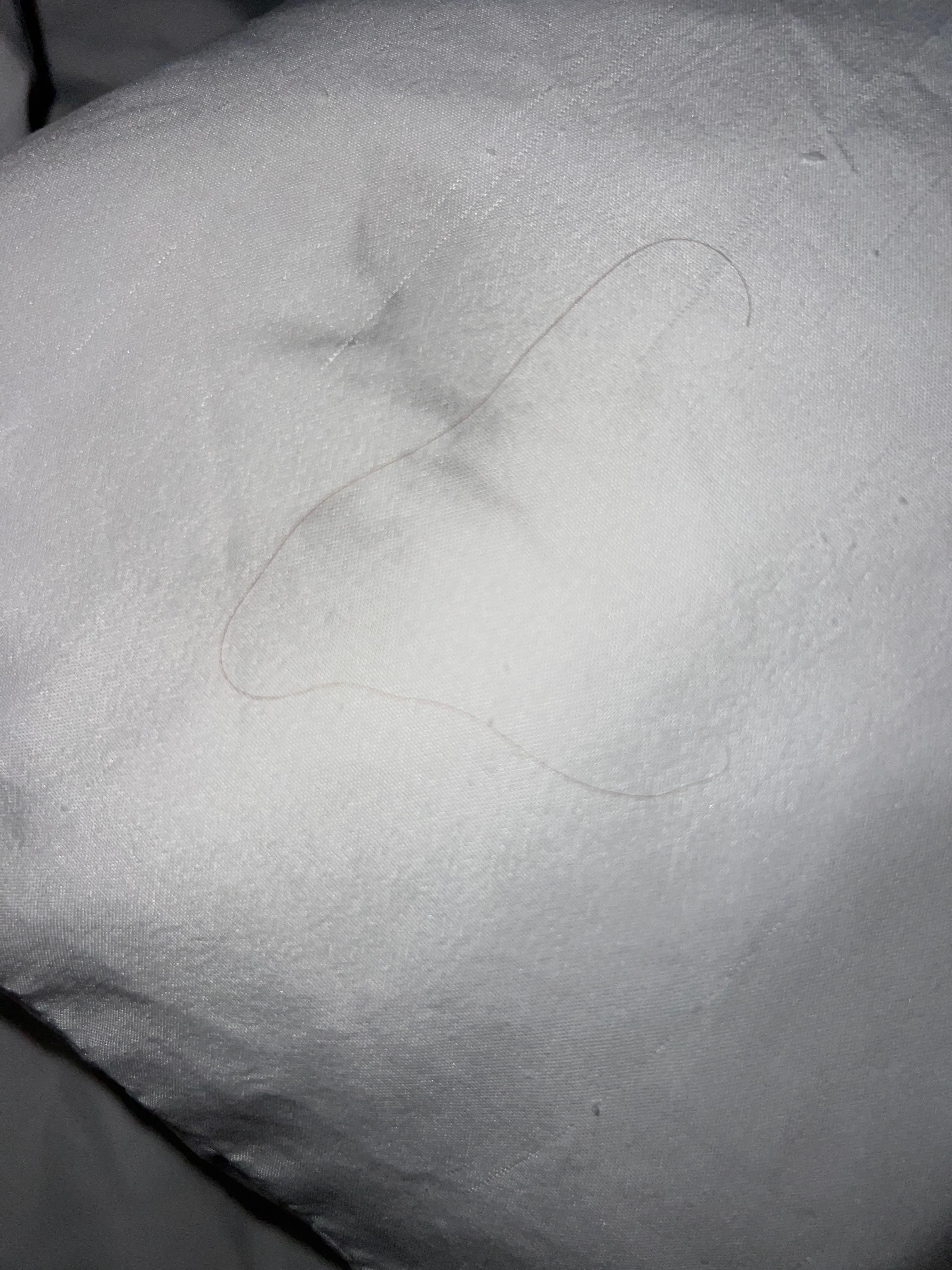Hair and a stain on a pillow. 