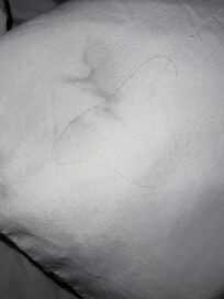 Hair and a stain on a pillow.