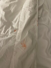 Lipstick on the coverlet — not mine