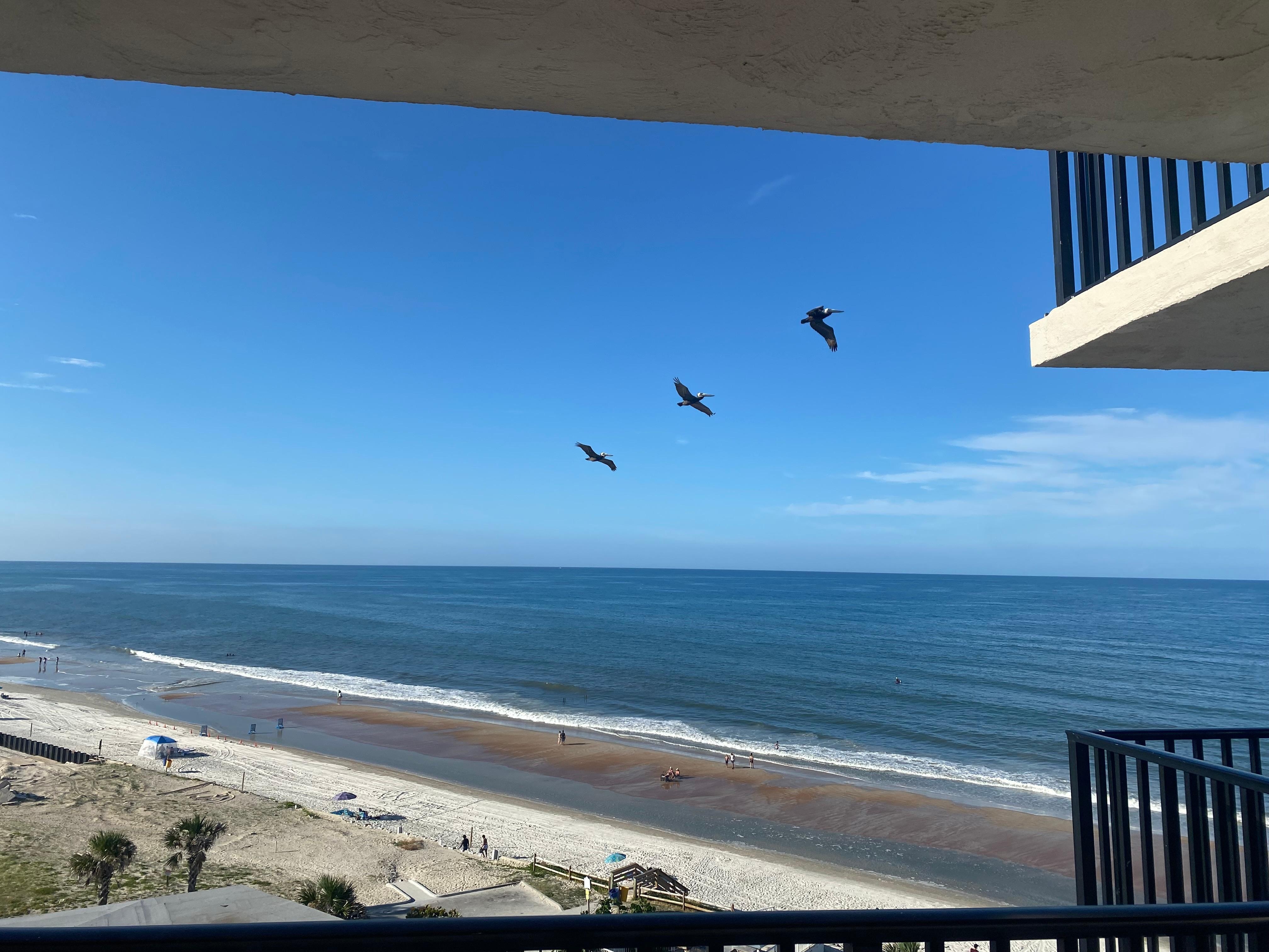 View from my oceanview balcony.