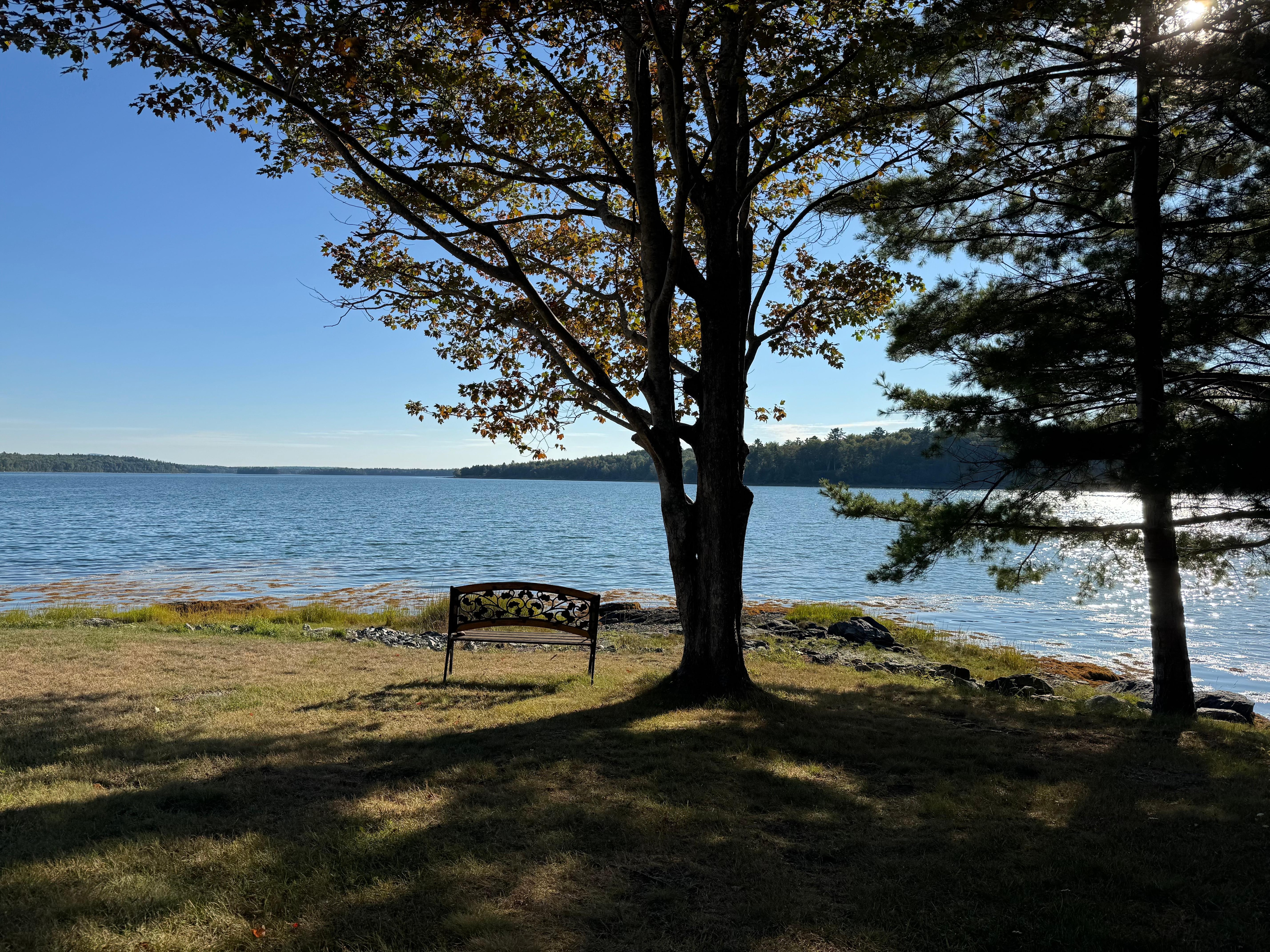 Morning coffee & happy hour spot