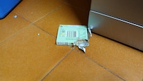von der eben verscheuchten Ratte angefressen