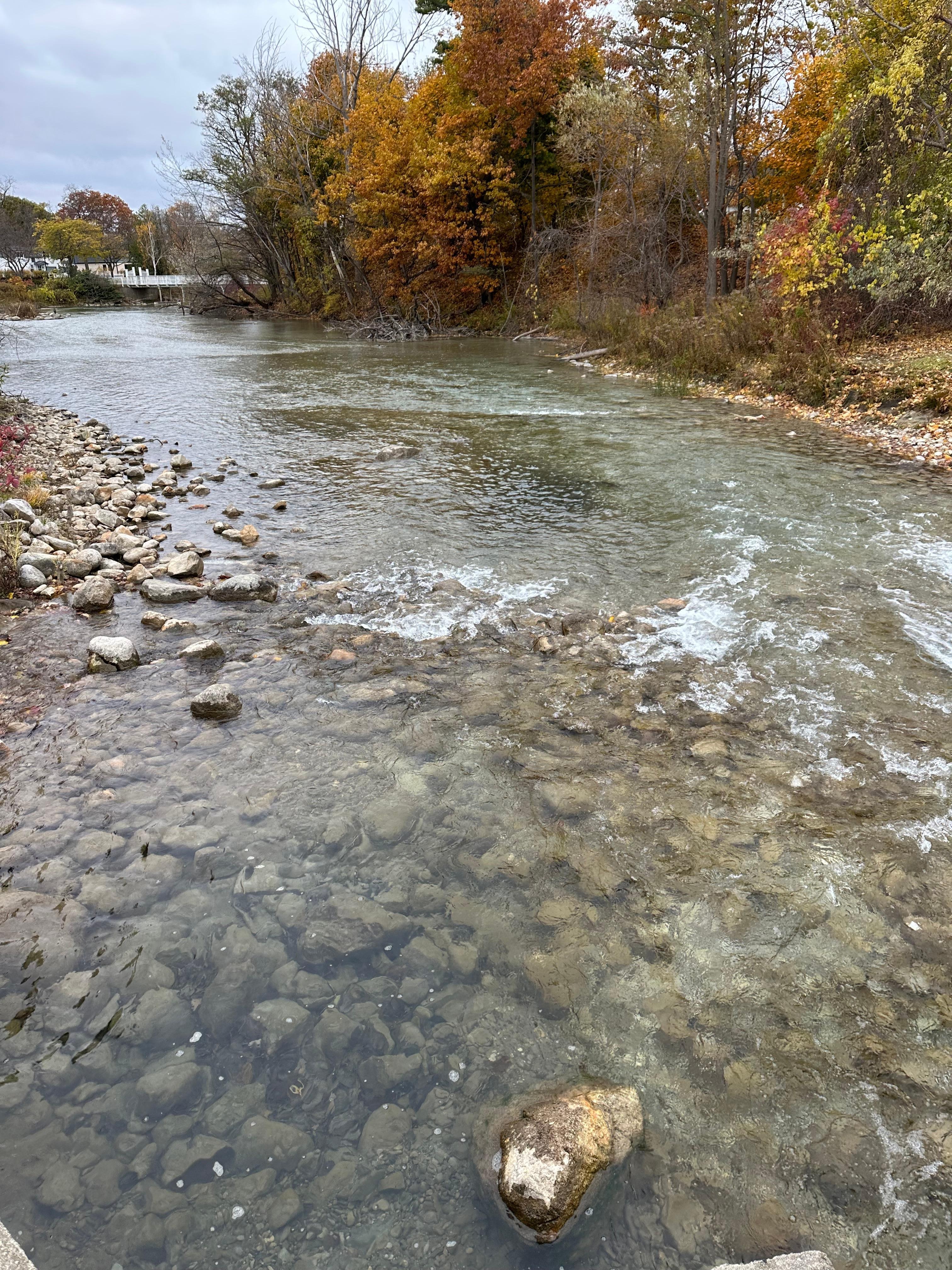 Local view of Elk River 