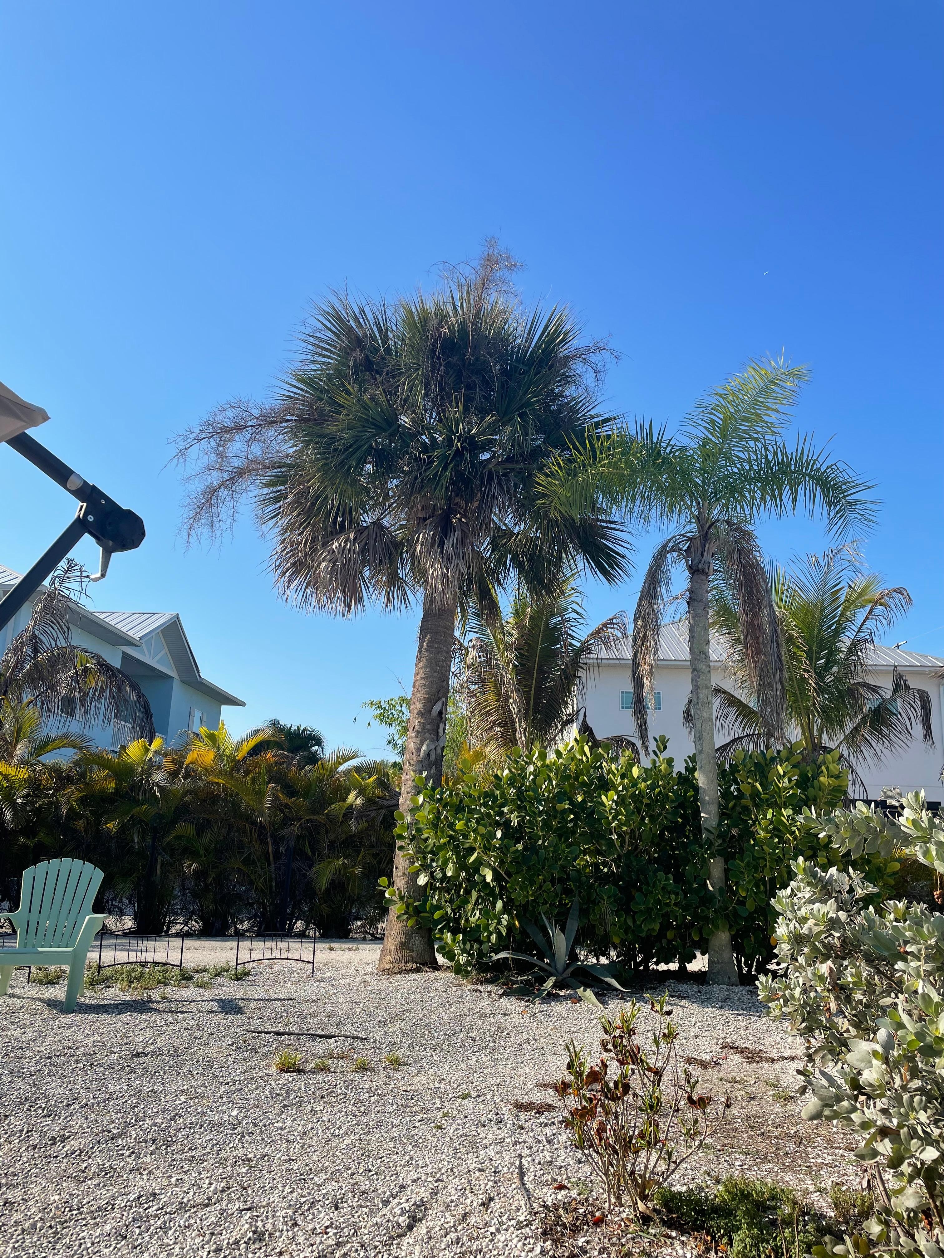 Private outdoor area