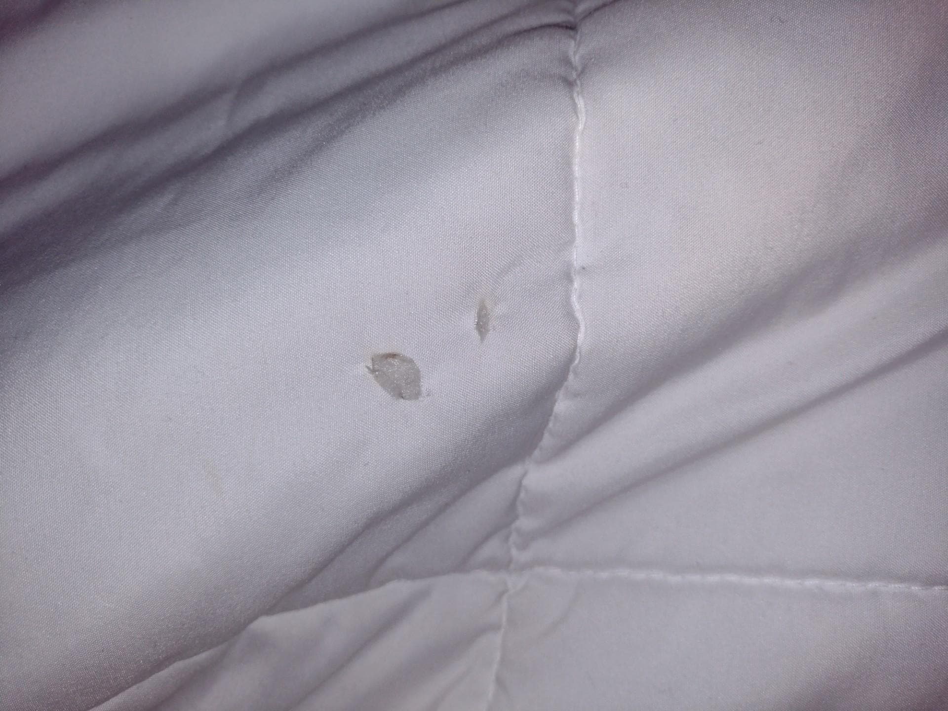 Well it's not like it would show up on a white comforter