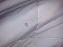 Well it's not like it would show up on a white comforter