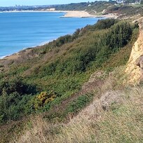 The view to the right.