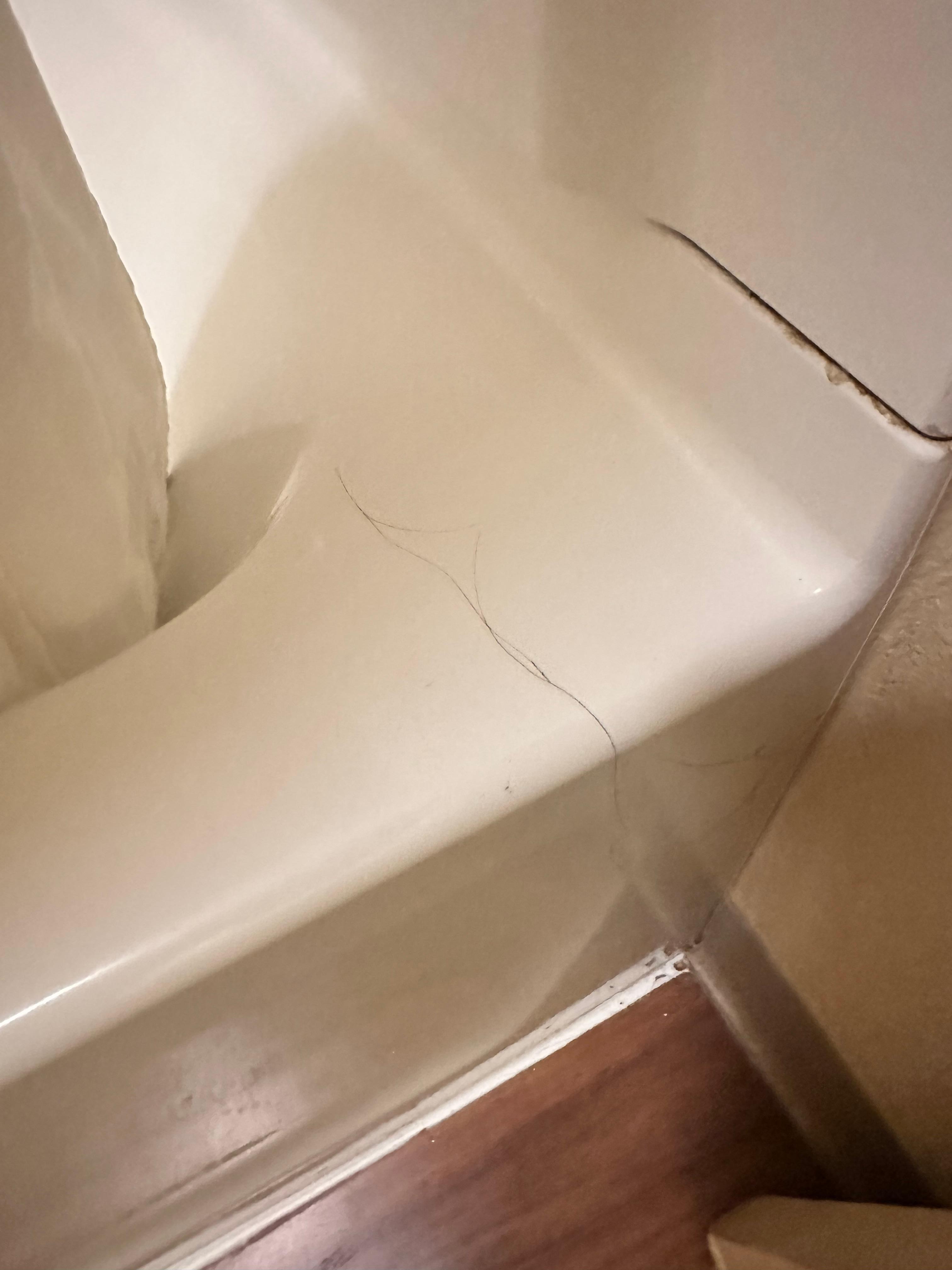 Hair from previous occupant. 