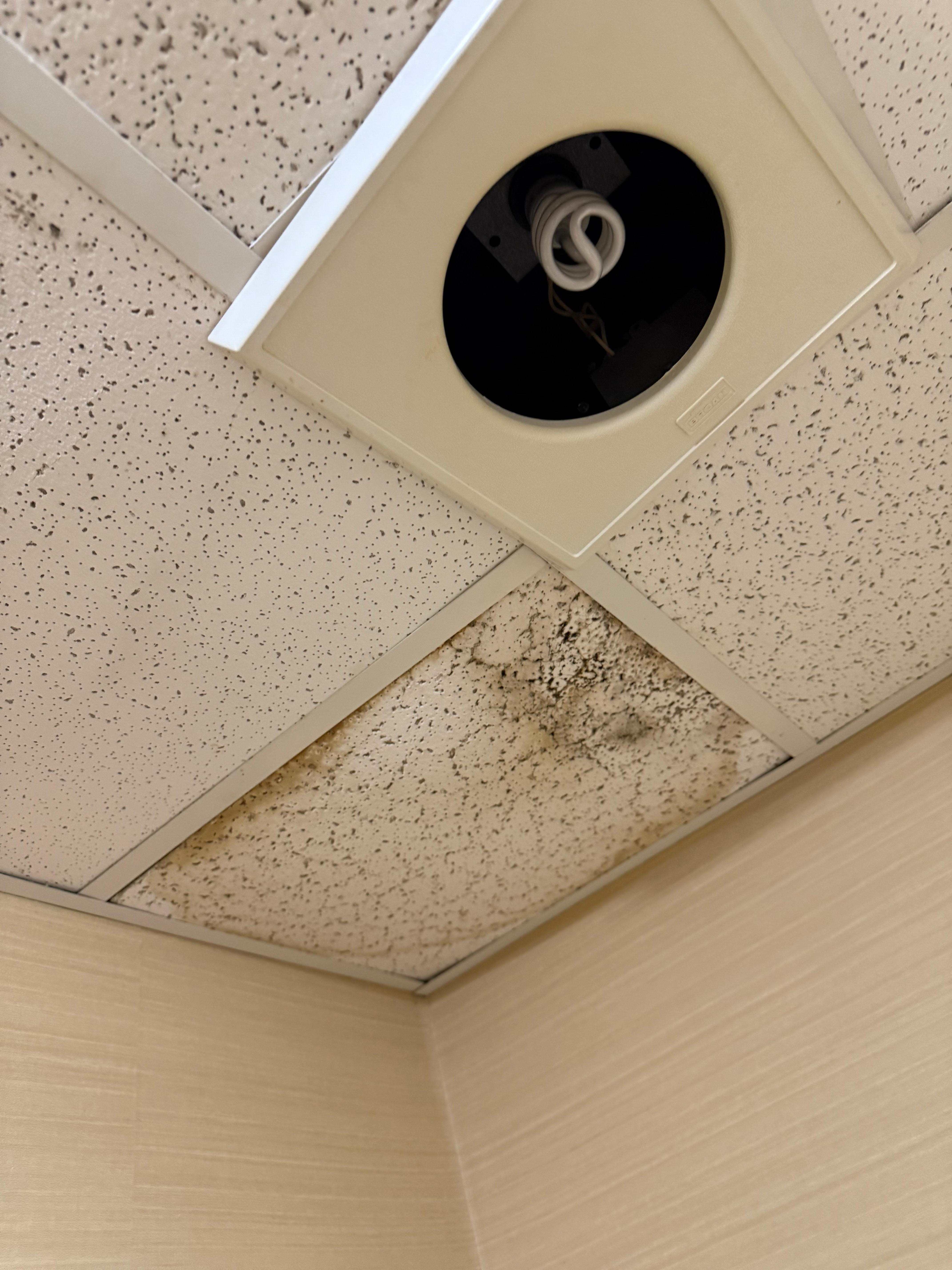 Exposed old heatlamp